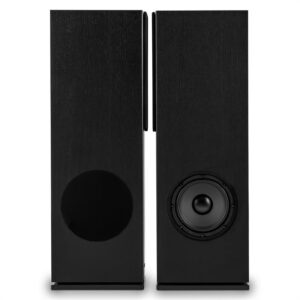 Auna Linie 501 FS BK, 280W, dvojica stojacich vežovitých reproduktorov, pasívne, čierne