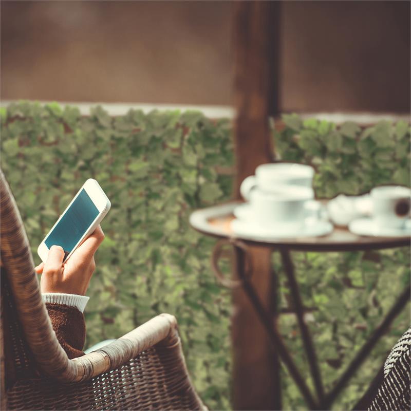 Blumfeldt Fency Bright Ivy, zástena, ochrana pred pozorovaním, ochrana pred vetrom, 300 x 150 cm, brečtan, svetlozelená