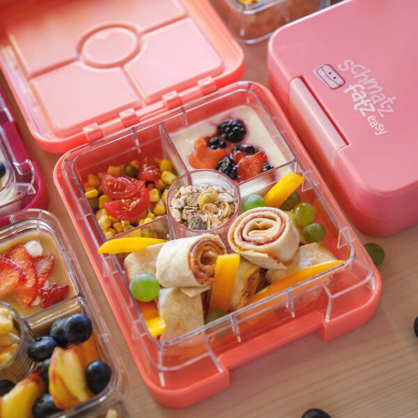 Klarstein schmatzfatz easy Snackbox, 4 priehradky, 18 x 15 x 5 cm - Image 2