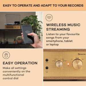 Auna Berklee TT Classic, gramofónový prehrávač, remeňový pohon, 33 1/3 a 45 otáčok/minútu, stereo reproduktory