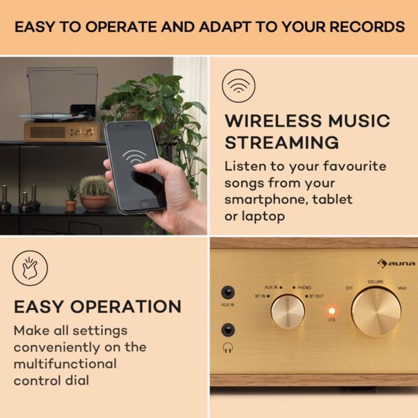 Auna Berklee TT Classic, gramofónový prehrávač, remeňový pohon, 33 1/3 a 45 otáčok/minútu, stereo reproduktory