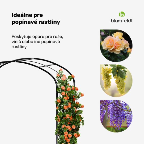 Blumfeldt FloraBelle Curve ružový oblúk | ozdobné vzory listov | odolný voči poveternostným vplyvom | pomôcka na popínanie - Image 2