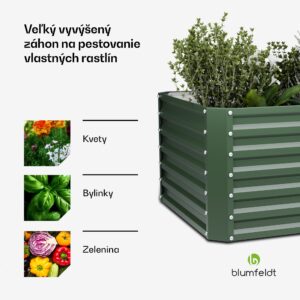 Blumfeldt High Grow Straight vyvýšený záhon, 600 L, Ergonomický, Odolný voči poveternostným vplyvom, Otvorená základňa