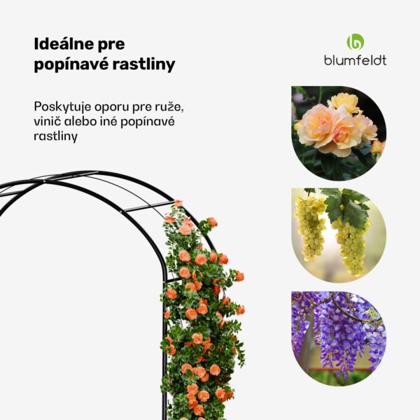 Blumfeldt FloraBelle Arch ružový oblúk, ozdobné vzory listov, odolný voči poveternostným vplyvom, pomôcka na popínanie - Image 2