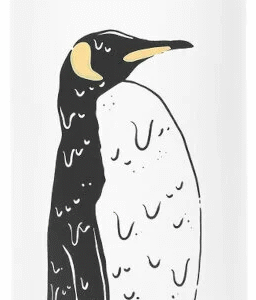 PICTURE HAMPTON BOTTLE , Fľaša, Velikosť: Univerzálna veľkosť