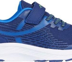 Energetics Elexir XII V/L