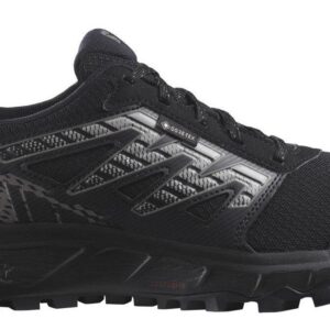 Salomon Wander GTX W  2/3 EUR