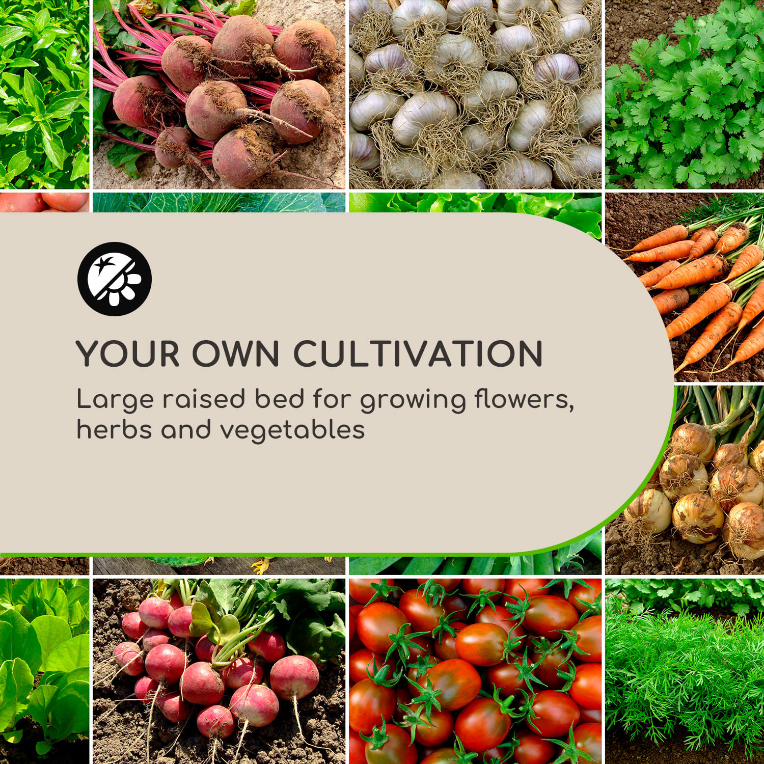 Blumfeldt High Grow Straight, vyvýšený záhon, 200 x 60 x 100 cm, 1200 l, oceľ