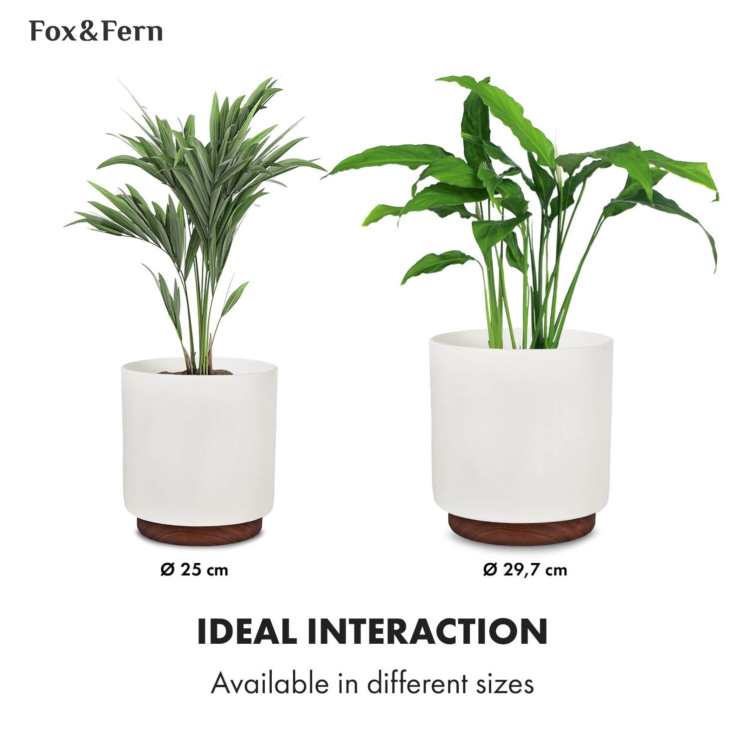 Fox & Fern Enspijk, kvetináče, 2 dielna súprava, 2 veľkosti, orechové drevo, Polystone, ručne vyrobené – Obrázok 3