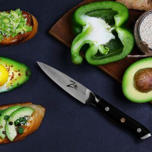 Zelite Infinity by Klarstein Alpha-Royal Japanese Series, 4" nôž na lúpanie, damašková oceľ, 67 vrstiev
