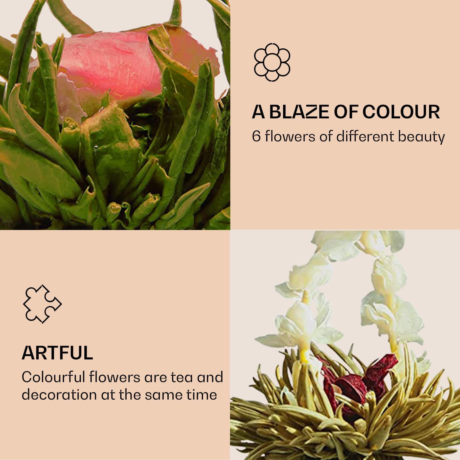 Feelino Čajové kvety, 6 rôznych odrôd, jednotlivo balené, veľmi produktívne – Obrázok 3