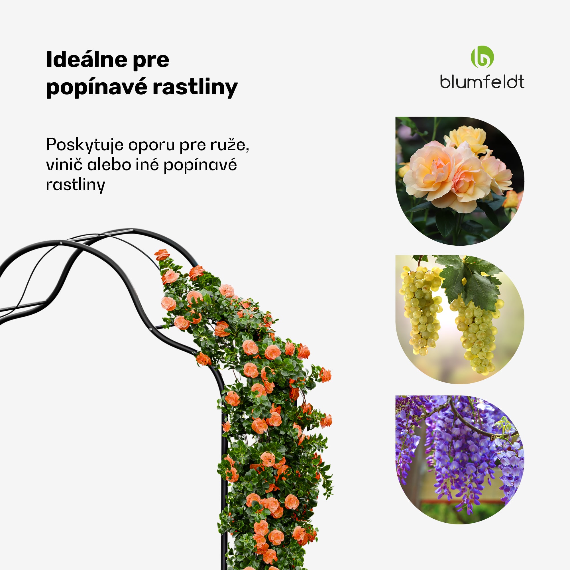 Blumfeldt FloraBelle Cupola oblúk, ozdobné vzory listov, odolný voči poveternostným vplyvom, pomôcka na popínanie – Obrázok 2